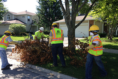 Curbside Bulk Brush Collection
