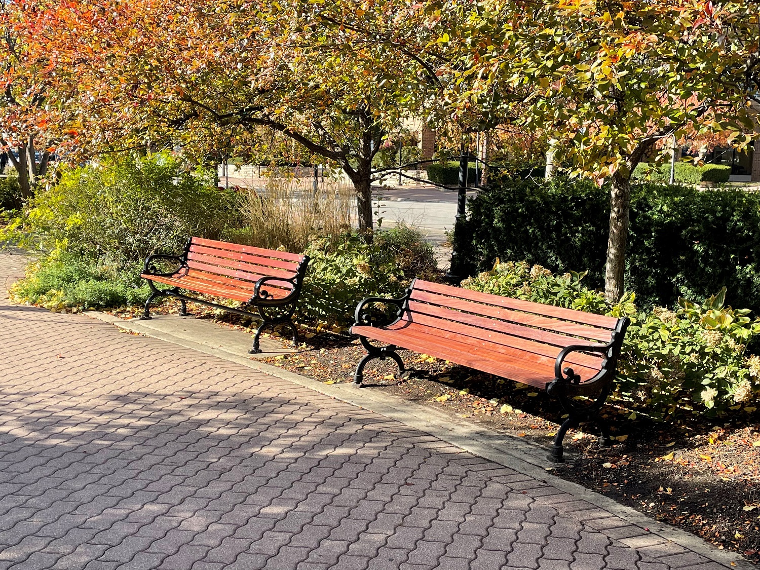 A commemorative wooden bench sits along the DuPage River on the Naperville Riverwalk.