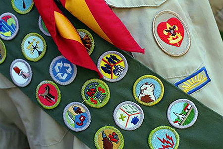 Calling All Scouts