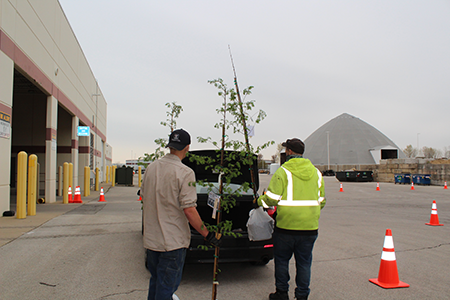 Annual Arbor Day Tree Sale