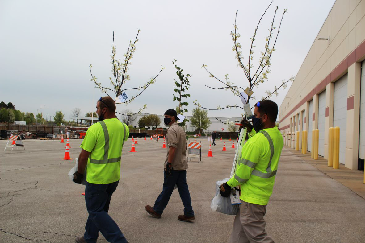 public works employees carry potted trees from their garage